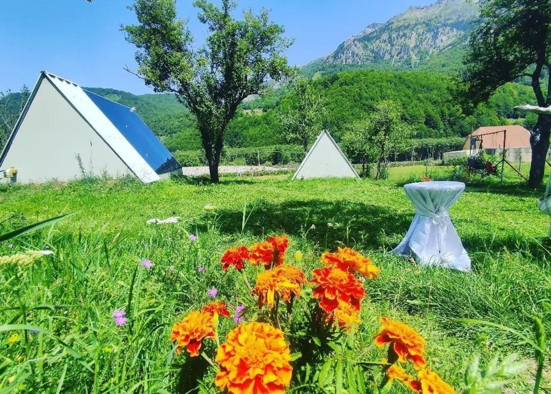 Under Stars House Ξενοδοχείο Vermosh Εξωτερικό φωτογραφία